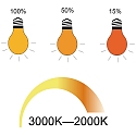 HWH Filamento luminoso en forma est�ndar A60 CCT Switch, regulable E27 10W 806lm 3000-2000K 200� CRI > 80 regulable