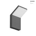 Outdoor wall luminaire INO switchable LED IP54, graphite