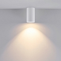 Deko-Light Luz downlight CAN cil�ndrico, r�gido GU10 IP20, blanco