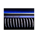  KapegoLED flexible LED stripe, 5050-60-24V-RGB+3000K-5m