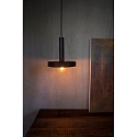 Luminaria colgante WHIZZ E27 IP20, dorado, negro 