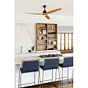 Faro Ceiling fan ALO CCT with remote control IP20, black matt, pine