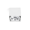 Luminaria de techo TECTO G53 IP20, blanco mate 