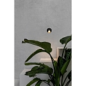 Faro Luminaria de pared para exteriores UVE LED IP44, plomo oscuro 