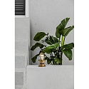 Faro Luminaria de pared y techo MAUREN E27 IP44, lat�n 