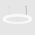 Luminaria colgante � 115.5CM controlable por DALI, CCT Switch, directo / indirecto, UGR < 19, forma del anillo IP40