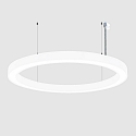 Luminaria colgante � 150CM controlable por DALI, CCT Switch, directo / indirecto, UGR < 19, forma del anillo IP40