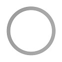 sealing ring SARA 18-21,7cm, silver