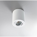 HEITRONIC Luz downlight ADL9001 redondo, giratorio GU10 IP20, blanco regulable