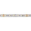 Tira LED 5050 RGB+WW/CW SMD - 2M / 12MM RGBW blanco