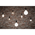 Paulmann Bombilla filamento Globe G80 E27 7,5W 806lm 2700K CRI >80 regulable