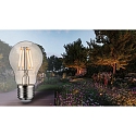 Paulmann Filamento luminoso en forma est�ndar GOLD LIGHT conmutable, insect-friendly A55 claro E27 4,3W 420lm 2200K CRI >80  claro