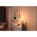Paulmann L�mpara de filamento LED METALLIC GLOW CYLINDER HELIX conmutable E27 3,5W 110lm 1800K CRI >80 