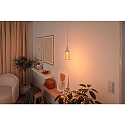 Paulmann L�mpara de filamento LED METALLIC GLOW CYLINDER SPIRAL conmutable E27 4,2W 200lm 1800K CRI >80 