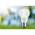Paulmann Filamento luminoso en forma est�ndar ECO-LINE AGL conmutable A60 claro E27 5W 1055lm 3000K 360� CRI >80  claro