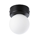 Paulmann Luminaria de pared y techo GOVE G9 IP44, mate, negro 