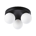 Luminaria de pared y techo GOVE G9 IP44