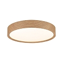 Paulmann bath luminaire TEGA CCT Switch, switchable IP44, wood, mat 