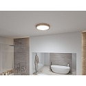 Paulmann bath luminaire TEGA CCT Switch, switchable IP44, wood, mat 