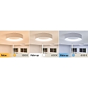 Paulmann Luminaria de techo HOMESPA CASCA LED grande, CCT Switch IP44, blanco regulable