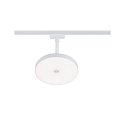 Paulmann Foco monof�sico HILDOR URail IP20, mate, blanco regulable