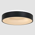 Luminaria de techo RINGLEDE - � 48CM grande, redondo, directo / indirecto IP20, negro mate regulable