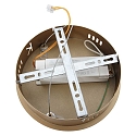Luminaria colgante RINGLUX LED IP20, dorado regulable