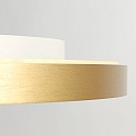 Steinhauer Luminaria de techo FLADY Arriba-Abajo IP20, dorado regulable