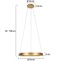 Steinhauer Luminaria colgante RINGLUX IP20, dorado regulable