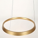 Steinhauer Luminaria colgante RINGLUX IP20, dorado regulable