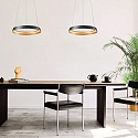 Steinhauer Luminaria colgante RINGLUX IP20, negro regulable