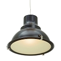 Steinhauer Luminaria colgante PARADE abajo, de 1 llama, con difusor E27 IP20, negro mate regulable
