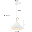 Mexlite Mexlite Pendant luminaire BJORR, 1 flame, 30cm, white