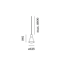 Wever & Ducr� pendant luminaire ODREY CEILING SUSP 1.4 PAR16 GU10 IP20, black matt 