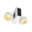 SLV Luminaria de pared y techo TEC KALU CL DOUBLE PHASE de 2 llamas, giro cardánico IP20, negro, blanco regulable
