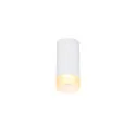 Luminaria de techo ASTINA abajo, cilíndrico, con difusor GU10 IP20, blanco regulable