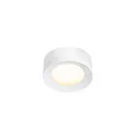 LED Ceiling luminaire FERA 25 CL DALI LED Downlight, 19,5W, 90°, 3000/4000K, 1650lm, glass matt, white
