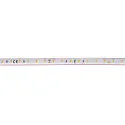 SLV Tira LED GRAZIA IP FLEXSTRIP IP54, blanco