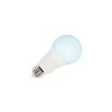 SLV Lámpara LED en forma de pera VALETO® CCT TUNABLE SMART A60 Tunable White