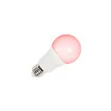 SLV Lámpara LED en forma de pera VALETO® RGBW SMART A60 RGBW