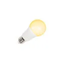 SLV Lámpara LED en forma de pera VALETO® RGBW SMART A60 RGBW