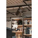 LED 3-phase spot NUMINOS® XL PHASE, 36W, 3000K, 24°, black