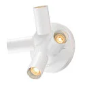 SLV Luminaria de pared y techo ASTO TUBE CW QUADRUPLE de 4 llamas, redondo, giro cardánico GU10 IP20, blanco regulable
