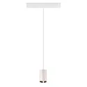 SLV Luminaria colgante NUMINOS® XS TRACK 48V controlable por DALI IP20, cromo, blanco regulable
