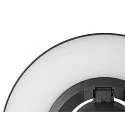 SLV Luminaria de pared para exteriores I-RING redondo, conmutable, con difusor, giro cardánico IP65, antracita 