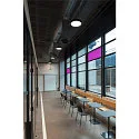 SLV Luminaria de pared y techo MEDO® PRO 40 redondo, controlable por DALI IP50, negro regulable
