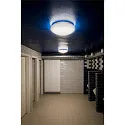 SLV Luminaria de pared y techo SURFACE V 390 CCT Switch, conmutable, multipower, abombado, con cable a través de IP44, blanco 