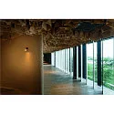 SLV Luminaria de pared y techo PURI 2.0 - DOME GU10 IP20, dorado, negro regulable
