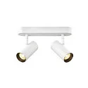 Luminaria de pared y techo NOBLO® DOUBLE PHASE DTW de 2 llamas, redondo, Dim-To-Warm IP20
