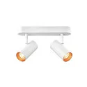 Luminaria de pared y techo NOBLO® DOUBLE PHASE DTW de 2 llamas, redondo, Dim-To-Warm IP20